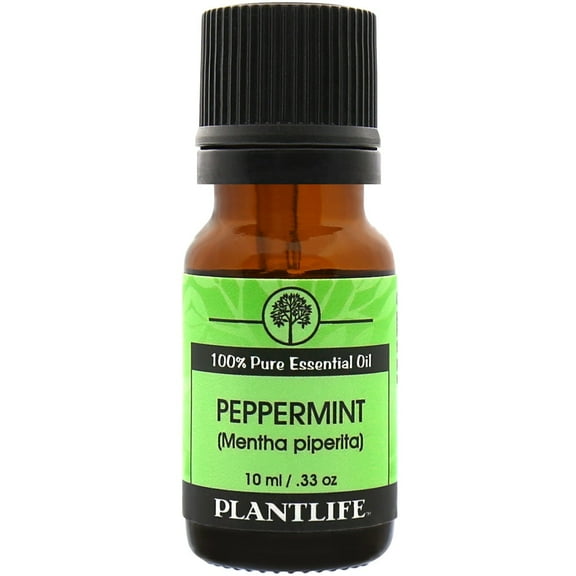 Plantlife Peppermint Aromatherapy Essential Oil - Straight From The Plant 100% Pure Therapeutic Grade - No Additives or Filters - 10 ml