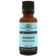 Plantlife Spearmint Aromatherapy Essential Oil - Straight From The Plant 100% Pure Therapeutic Grade - No Additives or Fillers - 30 ml