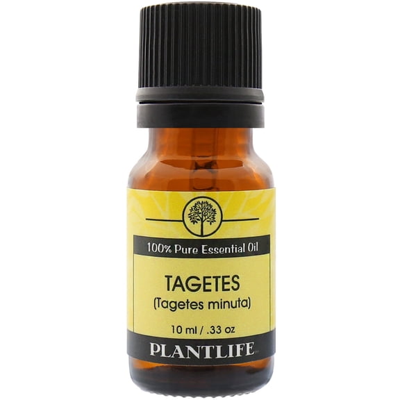 Plantlife Tagetes Aromatherapy Essential Oil - Straight From The Plant 100% Pure Therapeutic Grade - No Additives or Fillers - 10 ml
