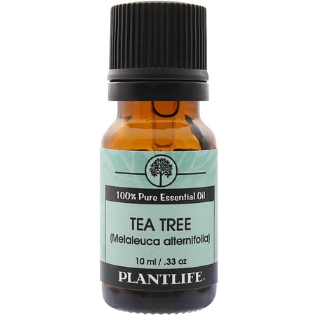 Plantlife Tea Tree Essential Oil – 100% Pure Natural Oil for Diffuser, Skincare, Hair & Aromatherapy – 10 ml