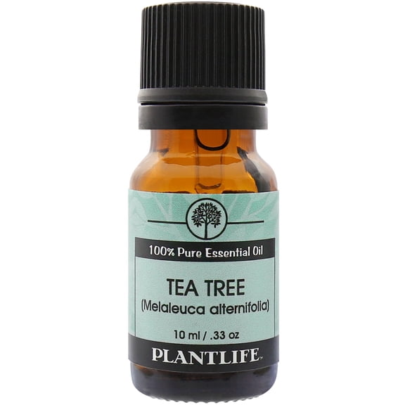 Plantlife Tea Tree Essential Oil – 100% Pure Natural Oil for Diffuser, Skincare, Hair & Aromatherapy – 10 ml