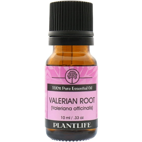 Plantlife Valerian Root Aromatherapy Essential Oil - Straight From The Plant 100% Pure Therapeutic Grade - No Additives or Fillers - 10 ml