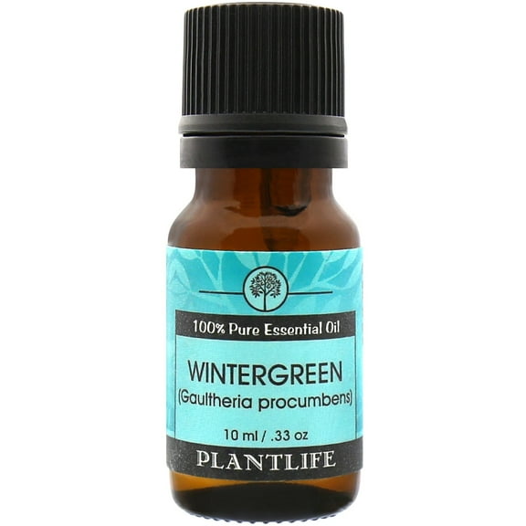 Plantlife Wintergreen Aromatherapy Essential Oil - Straight From The Plant 100% Pure Therapeutic Grade - No Additives or Fillers - 10 ml
