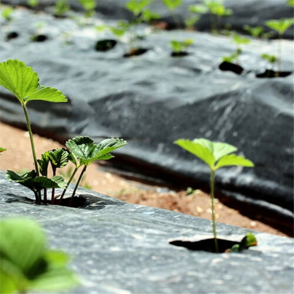 Plants Film Perforated Mulch Anti Grass Home Garden PE Vegetable Ground Cover 10M*0.95M Smile Home