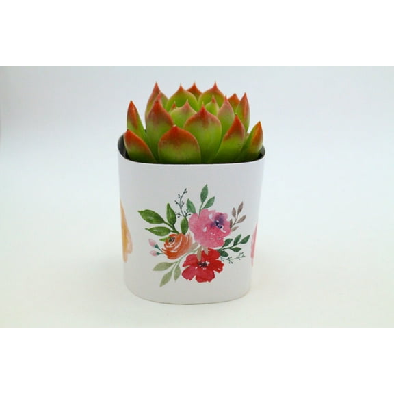Plants Of Joy Flowers Print Succulent Wraps for Weddings, Baby Shower, and Party Favors. 25 Count Pack.