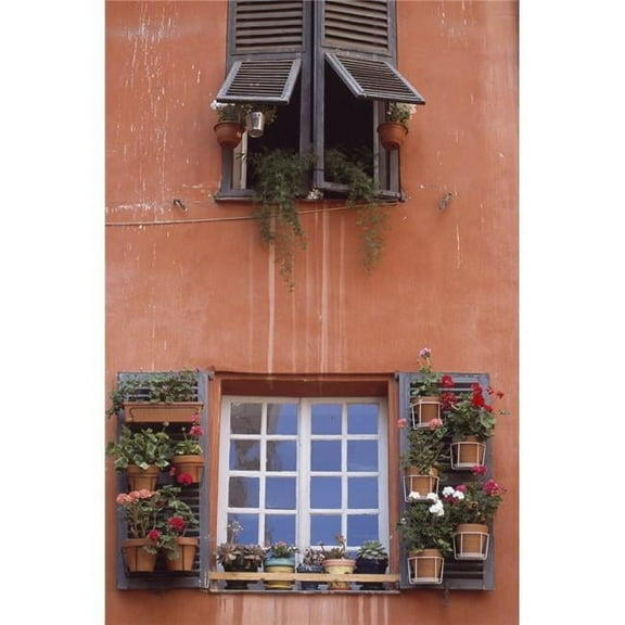 Plants On Window Sill Poster Print, 22 x 34 - Large