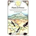 thumbnail image 1 of Pre-Owned Plants of Power: An historical survey of the divine nature of plants and ritual communication through plant helpers to the spiritual world (Paperback) 096364050X 9780963640505, 1 of 1