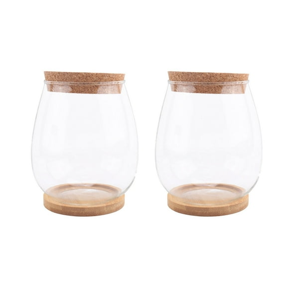 Plants Propagation Stations, 2 Pcs Separated Desktop Plant Terrarium with Wooden Tray & Lid for Propagating Hydroponic