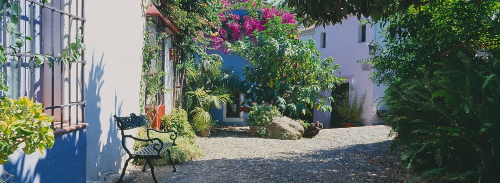 Plants at a house Marbella Costa del Sol Malaga Province Andalusia Spain Canvas Art - Panoramic Images (36 x 12)