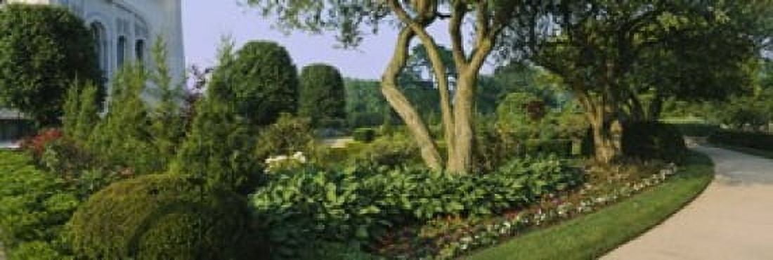 Plants in a garden Bahai Temple Gardens Wilmette New Trier Township Chicago Cook County Illinois USA Canvas Art - Panoramic Images (18 x 6)