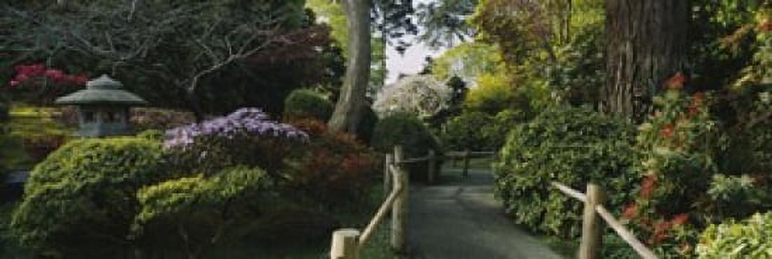 Plants in a garden Japanese Tea Garden San Francisco California USA Canvas Art - Panoramic Images (18 x 6)