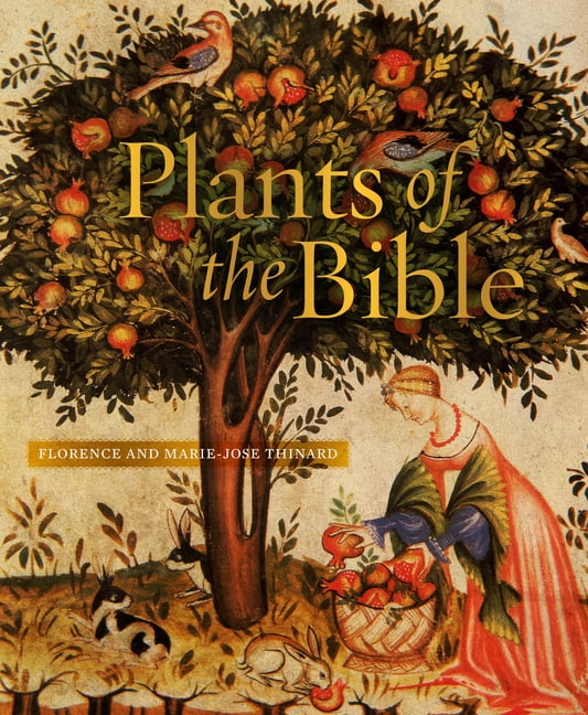 Plants of the Bible, (Hardcover)