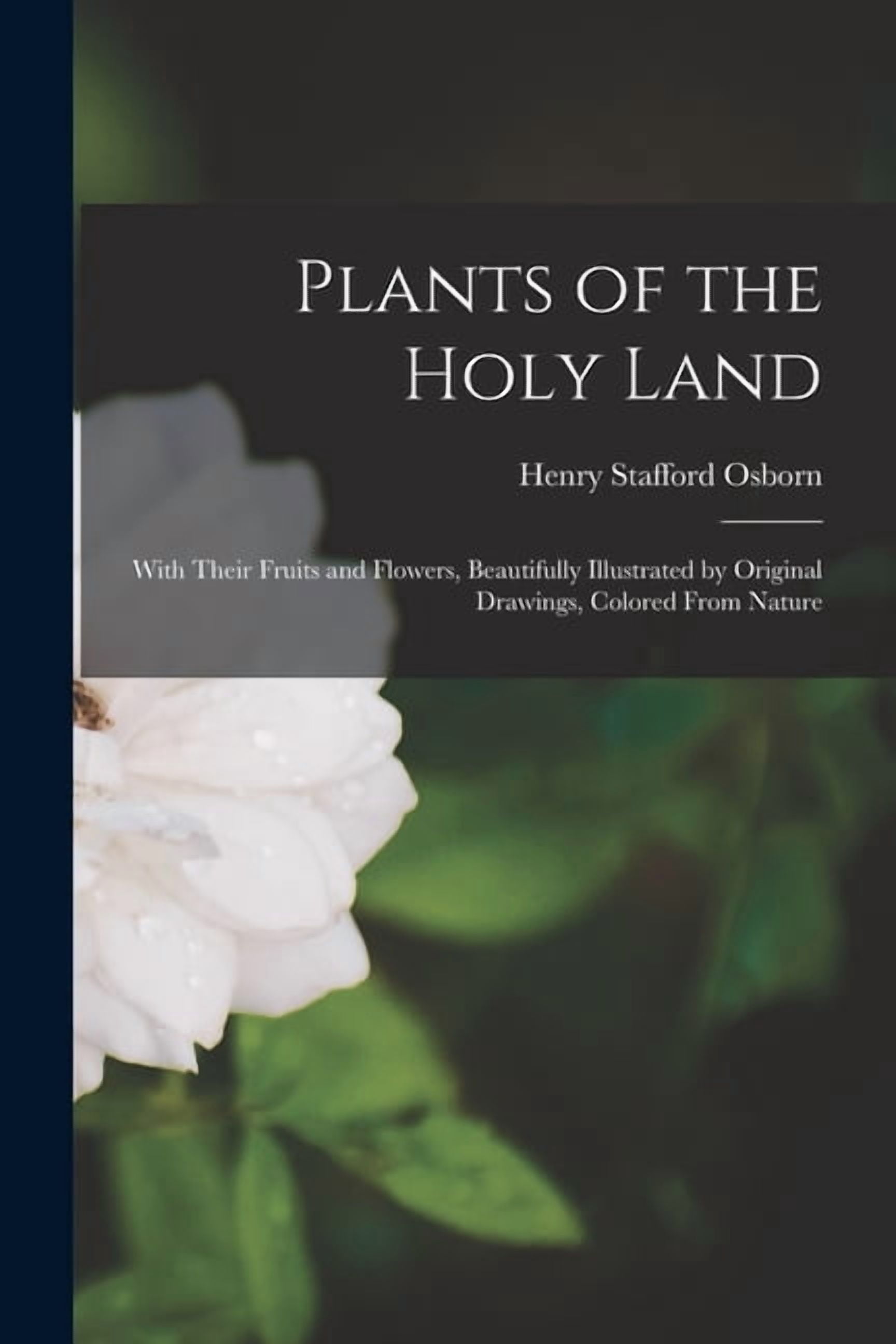 Plants of the Holy Land : With Their Fruits and Flowers, Beautifully Illustrated by Original Drawings, Colored From Nature (Paperback)