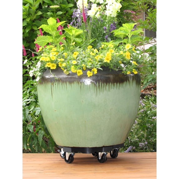 Plantstand 14410 14 in Black 5-Wheel Single Plant Caddy