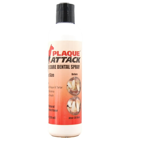 Plaque Attack Refill- Peppermint Spray