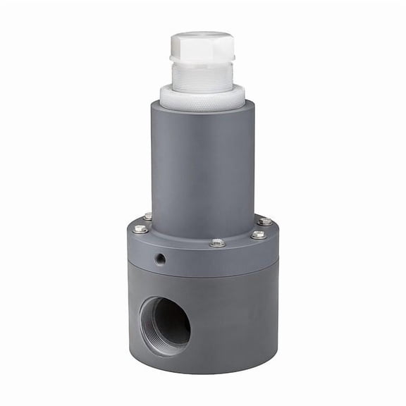 Plast-O-Matic Adjustable Relief Valve,1/2 In,100 psi RVDTM050T-PV