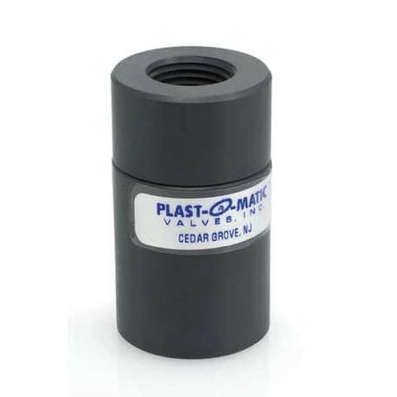 Plast-O-Matic Disc Check Valve,PVC,1/2",FNPT x Socket  CKD050V-PV