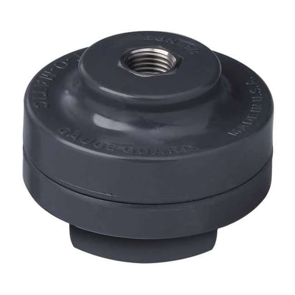 Plast-O-Matic Gauge Gd,PVC,PTFE Dia,1/4 In Gauge Port GGTS1-PV