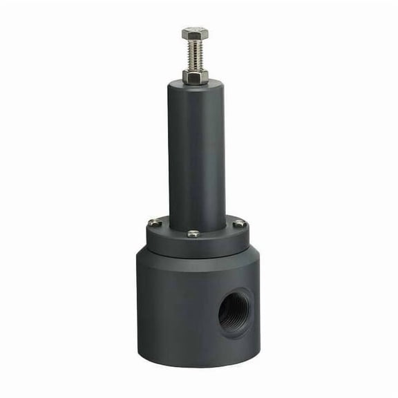 Plast-O-Matic Pressure Relief Valve,1 In,5 to 100 psi RVT100V-PV