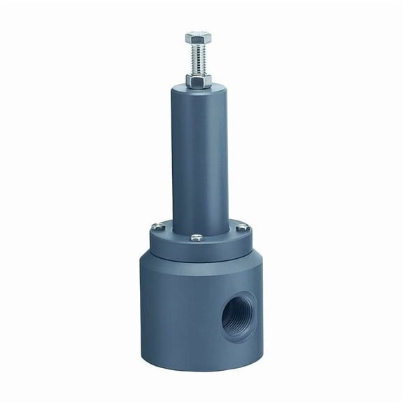 Plast-O-Matic Pressure Relief Valve,3/4In,5 to 100 psi RVT075V-PV