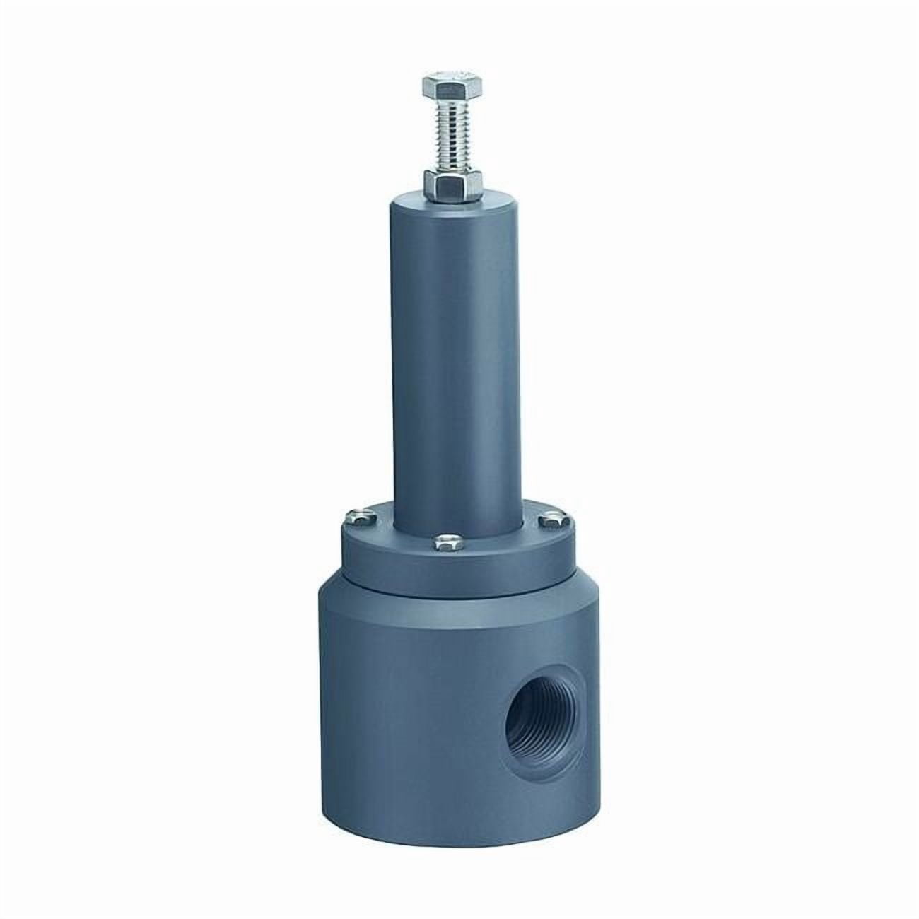 Plast-O-Matic Relief Valve,1-1/2 In,5 to 100 psi,PVC RVT150V-PV ...