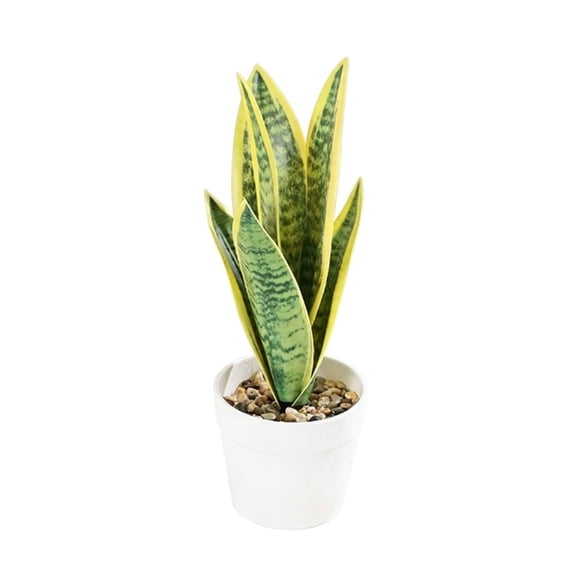 Plastic 24cm Faux Snake Plant in Pot Realistic Look for Indoor Tabletop Shelf