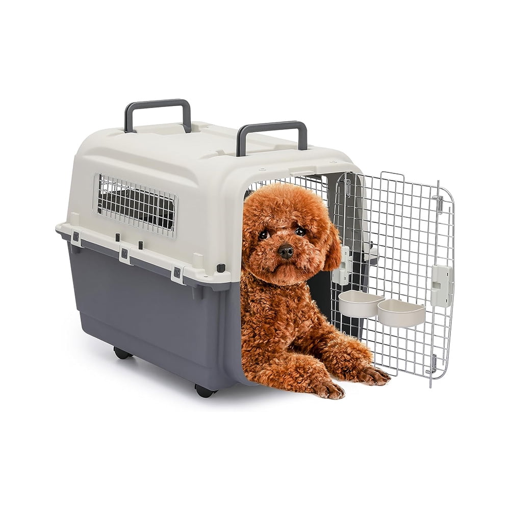 Plastic Carrier, Multifunction Hard Cat Carrier on Wheels for Small