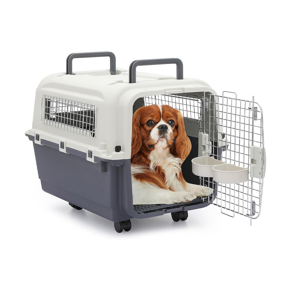 Hard plastic pet outlet carrier