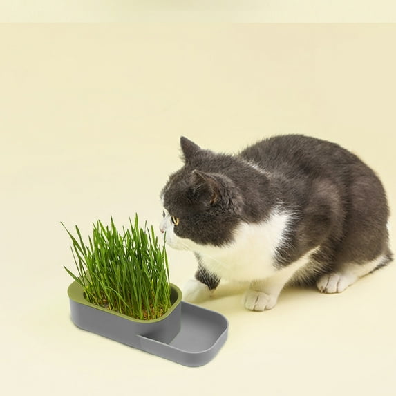 Plastic Cat Grass Growing Kit, 7.87x3.54x1.97in Green/Orange/Gray - Hydroponic Soilless Pot, Aids Digestion for Cats