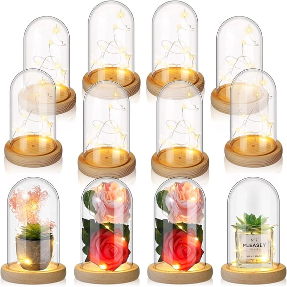 Plastic Cloche Dome with Rustic Wood Base and LED Light Plastic Dome Display Case Jar for Wedding Rose Tabletop Centerpiece Decoration