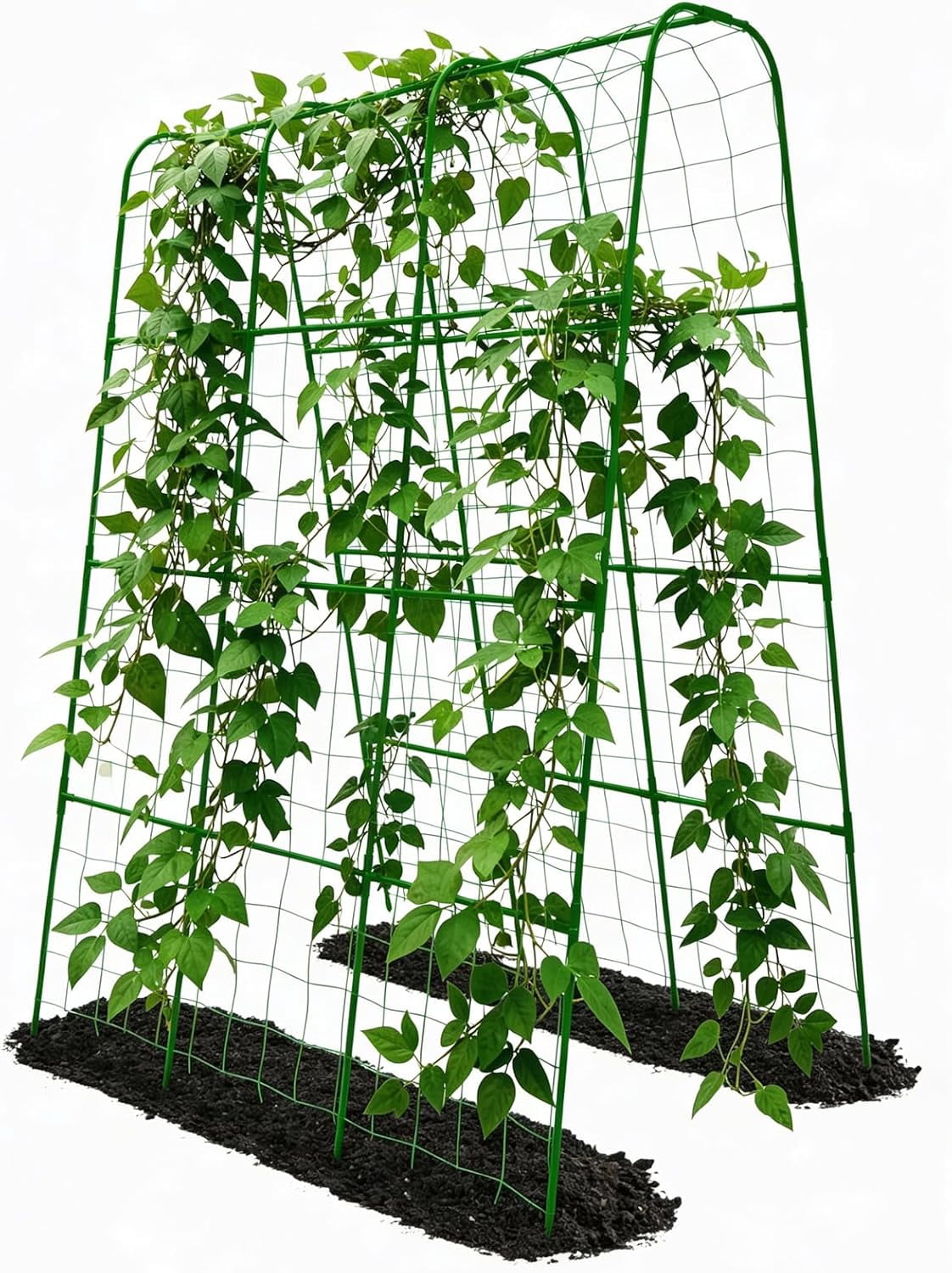 Plastic-Coated Steel Pipe Cucumber Trellis, 62.4"*50" for Raised Bed, U-Shape Garden Trellis for Climbing Plants, Also for Cucumbers and Beans
