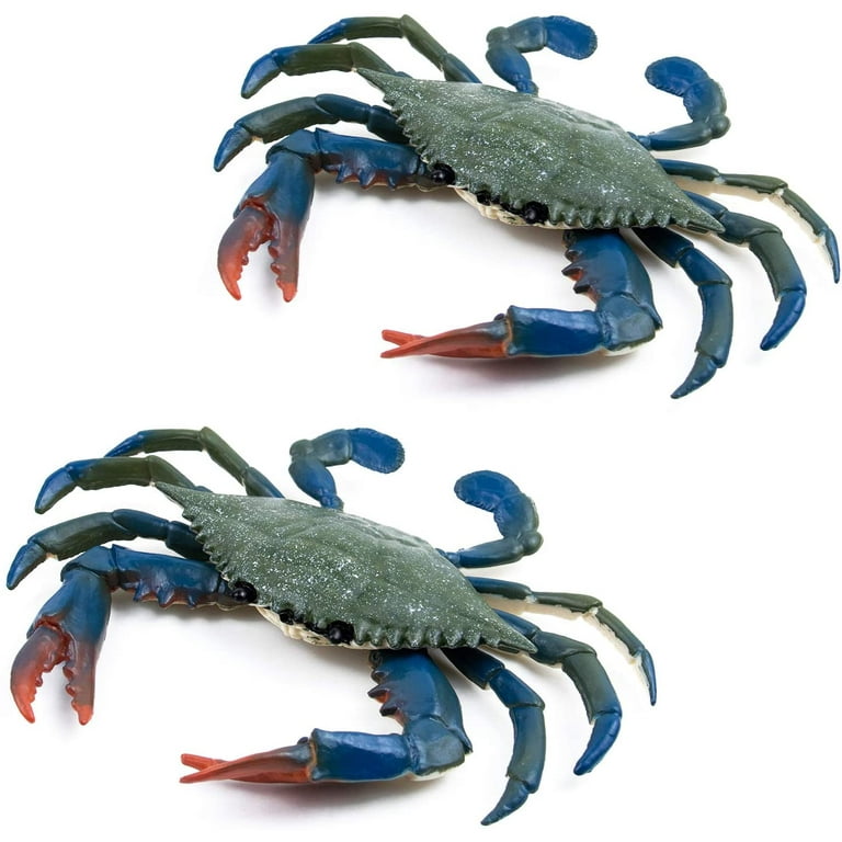 Compre Factory Wholesale 35cm Mini Plastic Portable Kids Crab