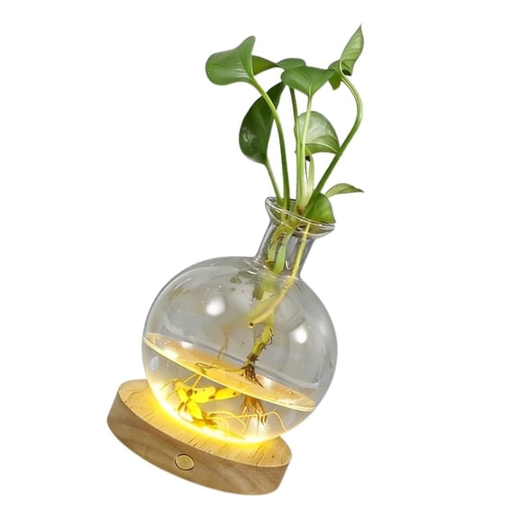 Plastic Decorative Vases LED Lighted For Plant Hydroponics And Night Atmospheres