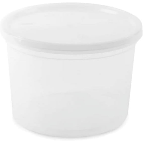 VEZEE Clear Plastic Microwave Safe Food Storage Containers (10 Count)