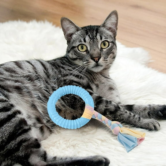 Dog Bone Toy, Durable for Aggressive Chewers, Interactive Teeth Cleaning, Puppy Teething, Small/Medium/Large Dogs