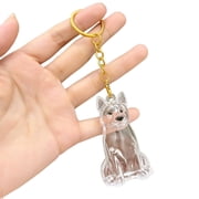 Plastic Dog Hair Collector Keychain Charm for Collecting Pet Fur with Military Grade Protection