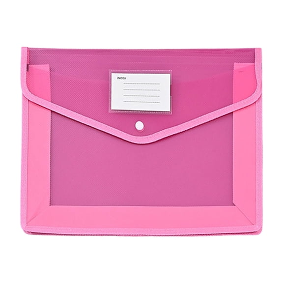 Plastic Expandable File Organizer Folder, A4 Transparent Document Holder for Receipts, Bills, Letters, Expandable File Folder for Home Office Organization, Easy Label Storage (Assorted Colors)