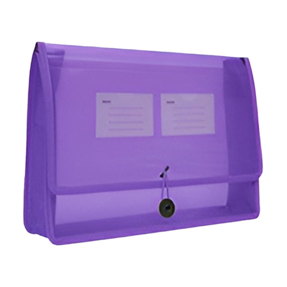 Plastic Expanding File Folder, Transparent Envelopes with Snap Closure,No Dividers,Large Capacity,Document Organizer for Receipts, Bills&Taxes,Letter/A4 Size for School/Office/Home Eactix