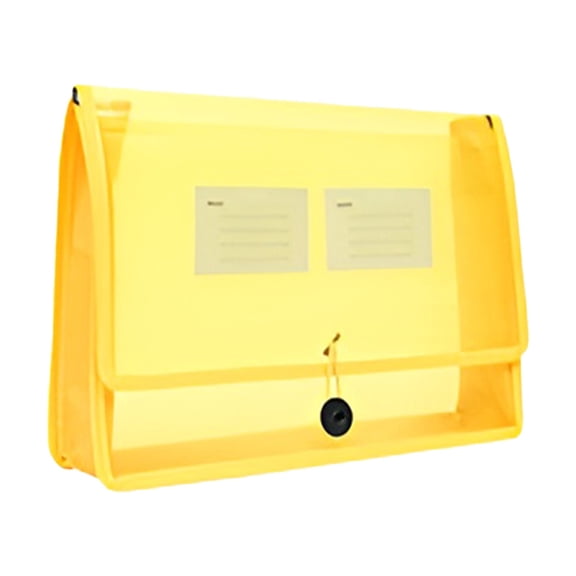 Plastic Expanding File Folder, Transparent Envelopes with Snap Closure,No Dividers,Large Capacity,Document Organizer for Receipts, Bills&Taxes,Letter/A4 Size for School/Office/Home Eactix