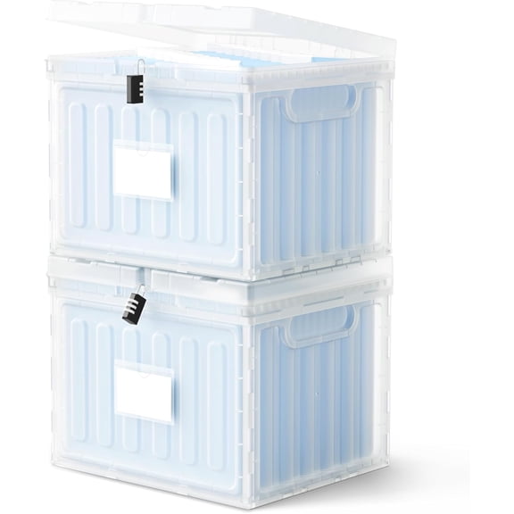 Plastic File Box with Lid for Letter Size Hanging File Folders, Hanging File Folder Box for Home, Office, School, File Cabinet, Assembly File Organizer, Clear，Large-2 Pack Without Folders