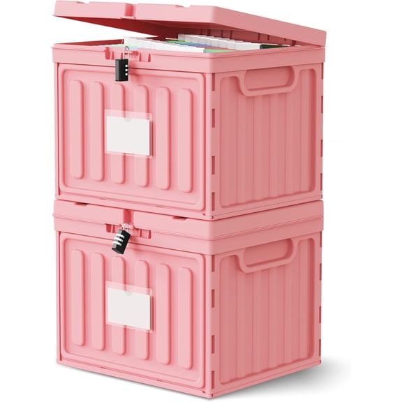 Plastic File Box with Lid for Letter Size Hanging File Folders, Hanging File Folder Box for Home, Office, School, File Cabinet, Assembly File Organizer, Pink,Large-2 Pack Without Folders