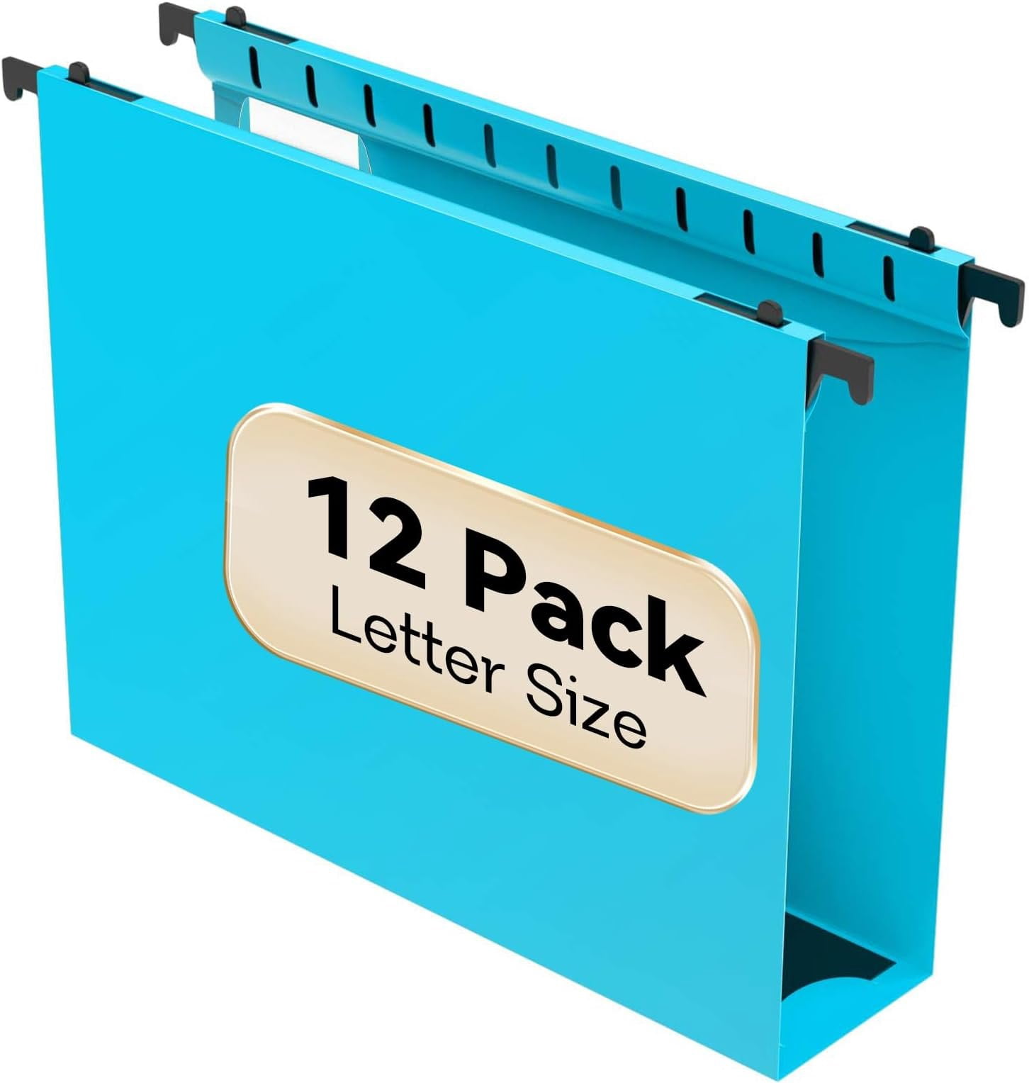 Plastic File Folder Extra Capacity,12 Pack Reinforced Hang Folders with ...