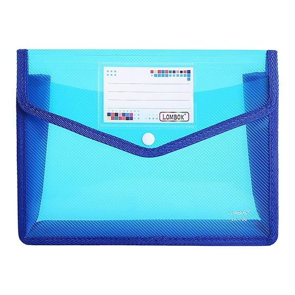 Plastic File Folder, Large-Capacity Poly Envelope Expanding Wallet Document Folder Letter Size A4 Accordion File Pouch with Label Pocket, Snap Button for School Home Work Office Organization