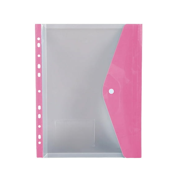 Plastic File Folders with Label Pockets - US Letter & A4 Size Clear Document Envelopes, Assorted Color Poly Organizers for Office School Supplies