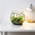 thumbnail image 1 of Plastic Fish Tank For Goldfish Desktop Clear Aquarium With Hydroponic Basket Home Decor, 1 of 6