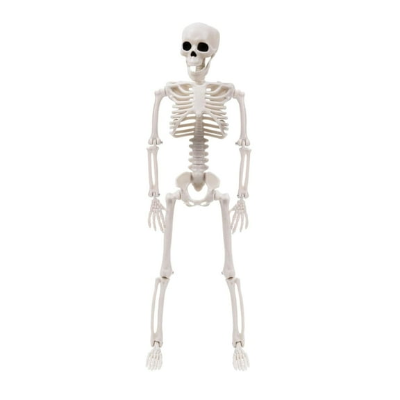 Plastic Halloween Skull Scene Decor and Design for Parties, Shop Haunting Effect