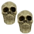 thumbnail image 1 of Plastic Halloween Skulls, 6x4.25 Inches Realistic Looking Skull for DIY Arts Material Decorative Supplies Party Graveyard Display  Table Centerpieces Wreath Haunted House Craft Decorations Pack of 2, 1 of 7