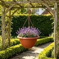 thumbnail image 1 of Plastic Hanging Planter Basket with Chain, Brown Imitation Terracotta Flower Pot with Drainage Holes, Large Round Hanging Planter for Outdoor Indoor Plants, Succulents, Herbs & Porch Decor, 1 of 6
