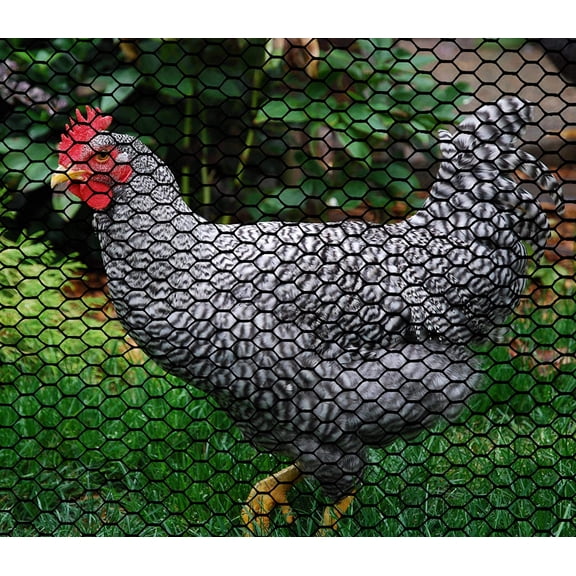 - Plastic Hex Chicken Wire Mesh Temporary Fence Roll (3' x 25' - Black) - Plastic Fence Poultry Netting for Temporary or Semi Permanent Enclosures, Deer Netting Fence, Construction Fencing