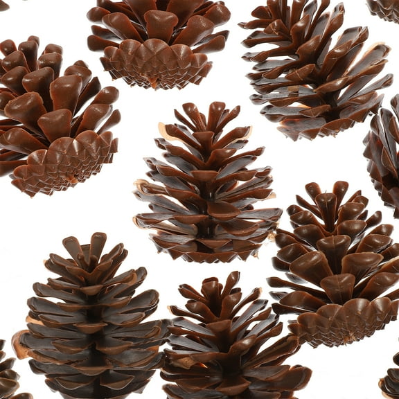 NIAIZEK Jumbo Plastic Pine Cones 30pcs Holiday Coffee Table Decoration for Adults and Home Decor